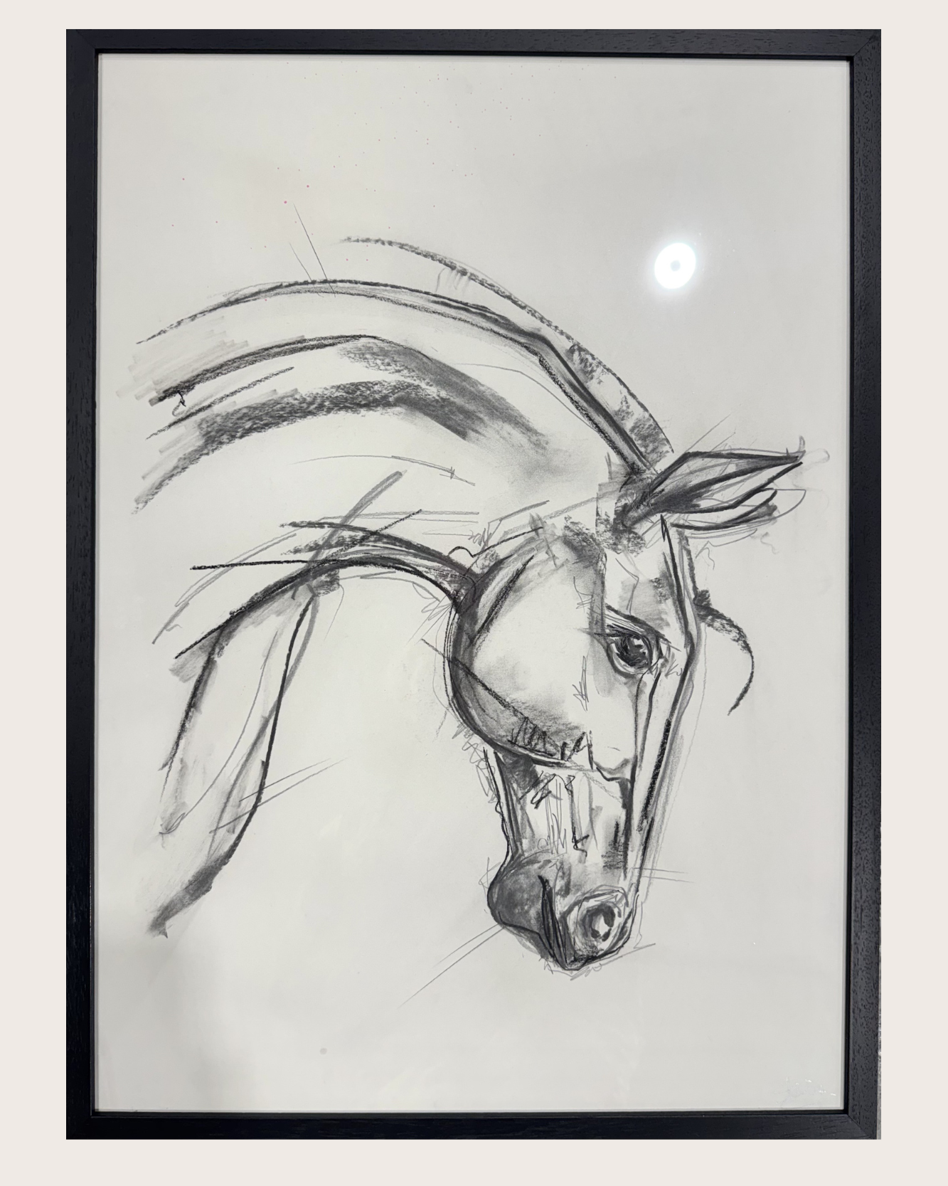 Horse Sketch Large #3